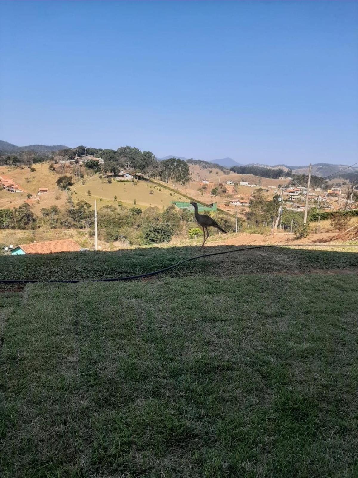 Recanto Alvorada - Casa De Campo Santo Antônio do Pinhal Zewnętrze zdjęcie
